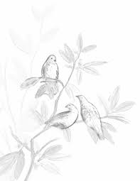 Donor Recognition (Jan. 1