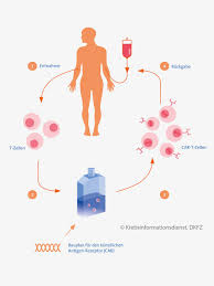 Side effects, dosing, and drug interaction information is included. Car T Zell Therapien In Europa Zugelassen