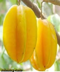 29 gambar buah buahan segar jenis jenis ciri ciri dan 9 27 2021 gambar buah apel pixabay com apel merupakan jenis buah buahan yang bagian luarnya biasanya berwarna merah saat sudah matang dan siap sumber gambar : Buah Belimbing Averrhoa Carambola L Jenis Dan Manfaat Untuk Kesehatan