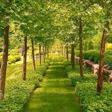 Magnificent Garden Formal Yet Inviting Beautiful Gardens Garden Design Outdoor Gardens