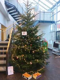 Besuchen sie uns in unserer geschäftsstelle in asperg. Vr Bank Asperg Markgroningen Eg Kinder Durfen Christbaume Plundern