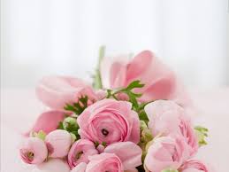 We did not find results for: Red Rose Bouquet Pictures Free Stock Photos Download 7 685 Free Stock Photos For Commercial Use Format Hd High Resolution Jpg Images