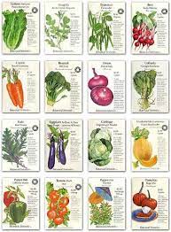 Planning Your Vegetable Garden The Seed Catalog Roundup Heirloom Vegetables Plants Edible Garden