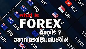 Forex คืออะไร อยากเก็งกำไรตลาดฟอเร็กซ์ เริ่มต้นยังไง?