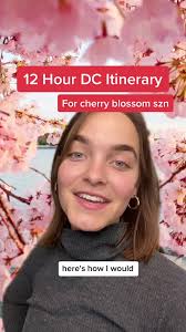 Things to do in DC during the cherry blossoms #dcthings #dccherryblossom  #dctiktok #washingtondc