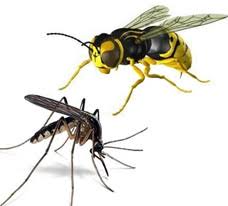 Produit Piscine Repulsifs Anti Guepes Moustiques Et Insectes Volants