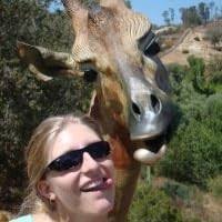 Identification Guide to North American Birds, Part I: Columbidae to  Ploceidae by Peter Pyle