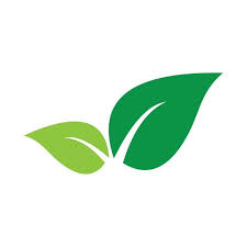 Page 1 of free vector leaf. Green Leaves Vector Icon Design On White Background Various Shapes Of Green Leaves Of Trees And Plants Elements For Eco And Bio Logos Plant Clipart Abstract Leaves Vector Vector Icon