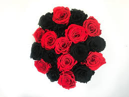 We did not find results for: Scatola Tonda Cilindro In Velluto 18 Rose Stabilizzate Rosse E Nere Passionefiori It Fiori Freschi A Casa Tua