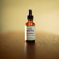 Image result for Eleutherococcus