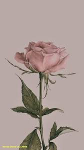 Maybe you would like to learn more about one of these? Vintage Flower Aesthetic Wallpapers Wallpaper Cave