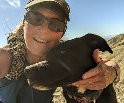 Bluebird skies hike with my pup cobweb