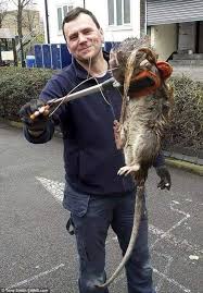 3670 burnette park drive suite a. 25 Best Pest Control Service Near Suwanee Georgia Facebook Last Updated Mar 2021