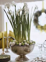Planting Bulbs For The Holidays Bulb Flowers Flower Pot Design Planting Bulbs