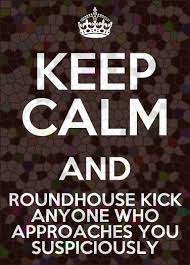 My Motto My Favorite Kick In Kickboxing Kickboxing Motivation Kickboxing Quotes Boxing Quotes