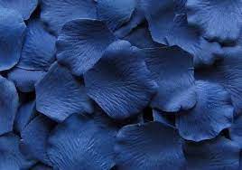 Blueberry Silk Rose Petals 100 Petals Prussian Blue Silk Rose Petals Rose Petals