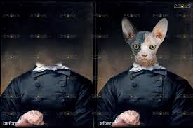 Print your pet on a custom canvas in an authentic renaissance style portrait and give them pride of place in your home. Royal Pet Portrait Templates Pet Painting Oil Photoshop V 2 By 2suns Thehungryjpeg Com