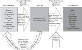 Loan servicers are compensated by retaining a relatively small percentage of each periodic loan payment, known as the servicing fee or servicing strip. Biodiversity Ecosystem Services And Resilience In Agricultural Systems Part I Agricultural Resilience