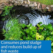 Professional pond muck pellets safely reduce muck and sludge from ponds and lakes of all sizes and muck from swimming areas. 8 Best Pond Sludge Removers Reviewed Jul 2021