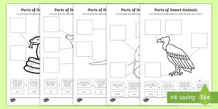 American desert animals (more) american prairie animals (labeled) animals living in a hollow log; Parts Of Desert Animals Cut And Paste Worksheets