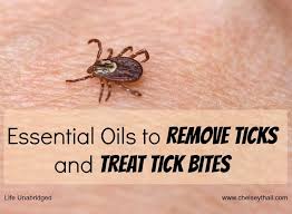Essential Oils To Remove Ticks And Treat Tick Bites Diy Essential Oils Essential Oils Living Essentials Oils