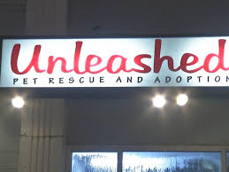 Hours may change under current circumstances Unleashed Pet Rescue And Adoption Seeking Donations As Dogs Cats Continue To Come Through Their Doors News Kctv5 Com