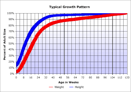 Labrador Growth Chart Goldenacresdogs Com