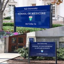 School of Medicine, School of Engineering and Applied Sciences approve new  joint masters program - Yale Daily News