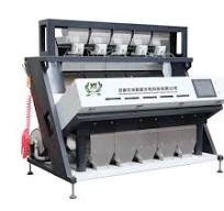 Sesame Processing Optical Sorting Machine 750-1300kg/H Capacity Ensuring  Food Safety Color Sorter