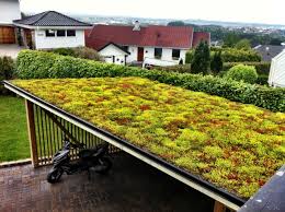 Sedum Roof Garden Landscape Carport Uberdachung Dachbegrunung Garage Dach
