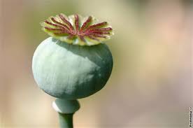 Aj napriek tomu, že toto ochorenie nie je možné úplne vyliečiť, je možné jeho stav výrazne zlepšiť. Byliny Ktere Vam Pomohou Od Bolesti Idnes Cz