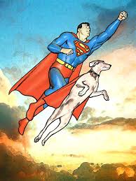 Paul Guinan S Superb Work Krypto Superman S Dog 12x16 Print Signed Superman Wonder Woman Superman Superhero