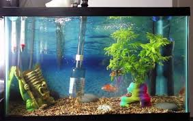 7 Gravel Aquarium Vacuum Cleaners Reviewed Quick Guide Diy Fish Tank Fish Tank Gravel Cool Fish Tanks