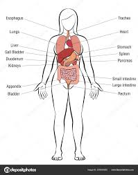 It will be a perfect opportunity to showcase their talents. Efdfctw7s0 Qim