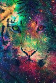 We have an extensive collection of amazing background images carefully chosen by our community. Pin On Rainbow Colored And Art
