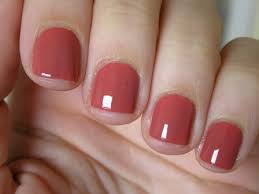 2021 (304) august (5) shoulder tendons chart : Sally Hansen So Much Fawn Nalakovany Blog