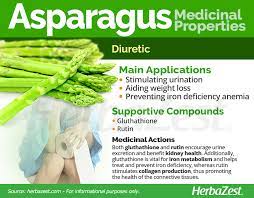 Asparagus Herbazest