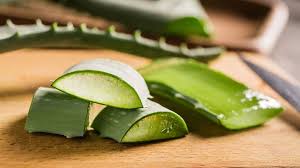 Cactus juice is rich in antioxidants, vitamin a, c 2. Can Aloe Vera Help With Type 2 Diabetes Everyday Health