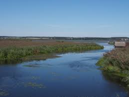 It is surrounded by moorland, partially overgrown with reeds. Federsee Wikipedia