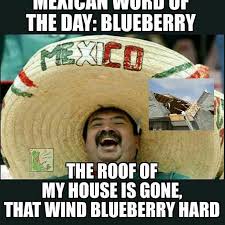 Mexican Word Of The Day Blueberry Mexican Words Mexican Jokes Word Of The Day