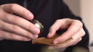 Put fire to the end u wanna light with out the blunt being in your mouth to burn away any excess paper turn ur lighter. Man Rolling Marijuana Cannabis Blunt Man Rolling A Marijuana Weed Blunt Light Licks Color Toned Light Leaks Close Up Marijuana Joint With Lighter Video By C Cendeced Stock Footage 250557028