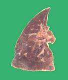 Image result for the treatment of active tb occurs in how many phases?