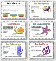 Los animales invertebrados son aquellas especies que no disponen de un esqueleto interno articulado, así como de una columna vertebral. Cartillas De Los Animales Invertebrados Y Sus Caracteristicas