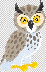 Long Eared Owl Short Eared Owl Png Animals Barn Owl Beak Bird Bird Of Prey Owl Vector Owl Posters Owl Png
