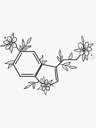 Serotonin Sticker Sticker By Zharris13 In 2020 Molecule Art Flower Drawing Art Drawings Simple