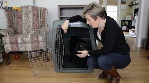 How To Crate Train Your Dog Smart Dog University