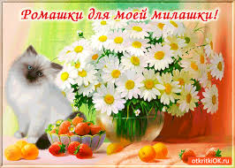 Открытка Ромашки для моей милашки - Скачать бесплатно на otkritkiok.ru