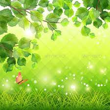 green grass tree branch butterfly background butterfly background flower background wallpaper flower backgrounds