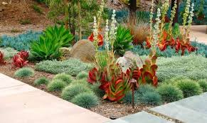 Garden Ideas Landscaping Ideas Concrete Paving Garden Lighting Ice Plant Kalan Desert Landscape Design Succulent Landscape Design Succulent Landscaping