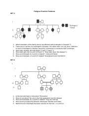In a pedigree, a square represents a male. Anthony Pedigree Practice Problems Worksheet Pedigree Practice Problems Set 1 1 Which Members Of The Family Above Are Affected With Huntingtons Course Hero